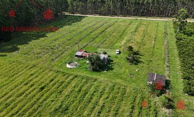 CAMPO EN VENTA, BUENOS ACCESOS, CERCA DE PUEBLO LA CRIOLLA