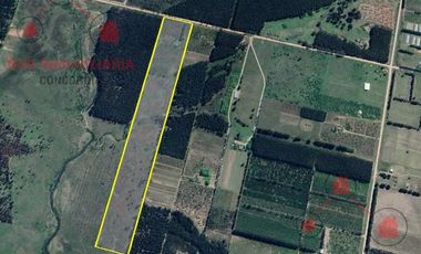 CAMPO EN VENTA, BUENOS ACCESOS, CERCA DE PUEBLO LA CRIOLLA