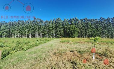 CAMPO EN VENTA, BUENOS ACCESOS, CERCA DE PUEBLO LA CRIOLLA