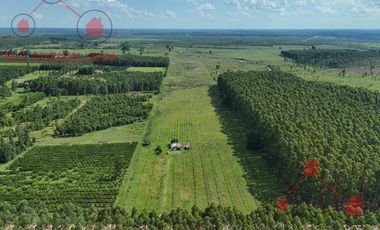 CAMPO EN VENTA, BUENOS ACCESOS, CERCA DE PUEBLO LA CRIOLLA