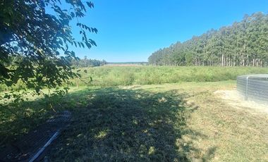 CAMPO EN VENTA, BUENOS ACCESOS, CERCA DE PUEBLO LA CRIOLLA