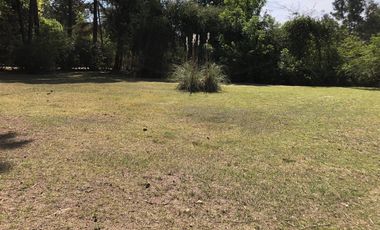 Casa - Parque Natura