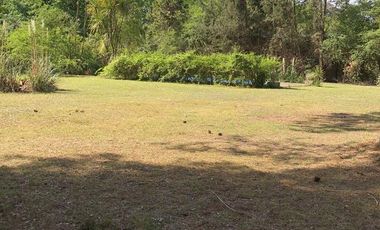Casa - Parque Natura