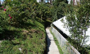 VIVE RODEADO DE NATURALEZA EN PELLUCO