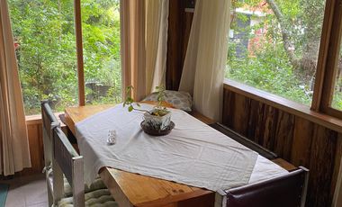 VIVE RODEADO DE NATURALEZA EN PELLUCO