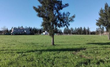 Lotes en Altos de Don Carlos - 501 y 138 - J Hernandez