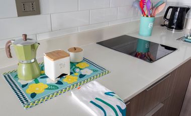 ¡Tu departamento ideal en Isla Teja, Valdivia!