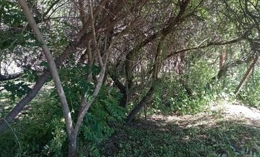 Casa a terminar en Venta, Arroyo de Los Patos, Traslasierra