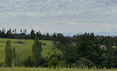 Parcela en venta  en YUMBEL