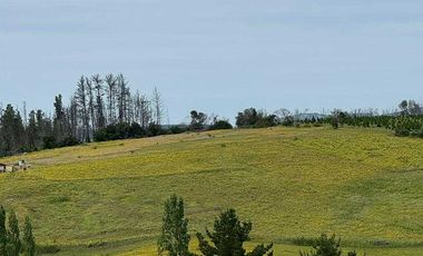 Parcela en venta  en YUMBEL
