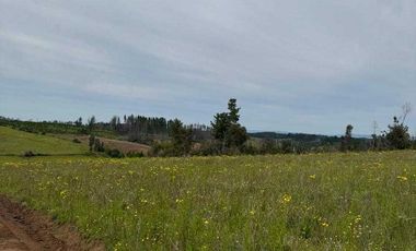 Parcela en venta  en YUMBEL