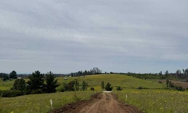 Parcela en venta  en YUMBEL