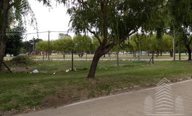 Diag Cobos y Julio Campo