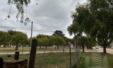 Diag Cobos y Julio Campo