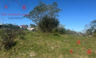 15 Lotes muy bien ubicados, con todos los servicios, para la venta.-