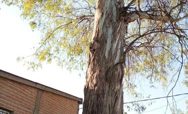 Venta Casa a terminar en Longchamps