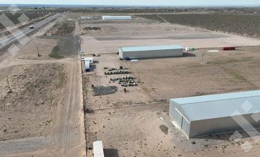 Alquiler Galpón en 1 ha - RP 67 - Neuquén