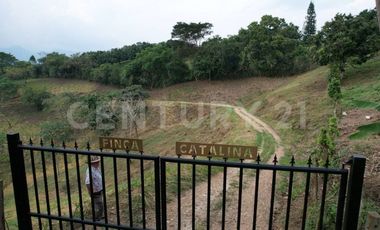 VENDO ESPECTACULAR LOTE CAMPESTRE EN ANAPOIMA EL MEJOR SITIO PARA VIVIR