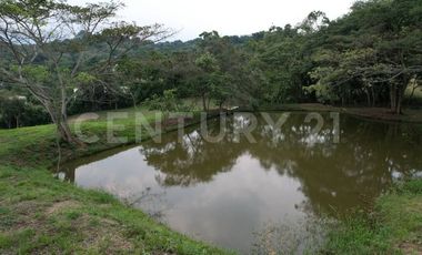 VENDO ESPECTACULAR LOTE CAMPESTRE EN ANAPOIMA EL MEJOR SITIO PARA VIVIR