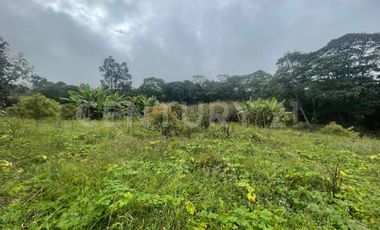 VENDO 4 LOTES SEGUIDOS DESDE 11.500m2 a 15.570m2 EN SUBIA SILVANIA,CUNDINAMARCA