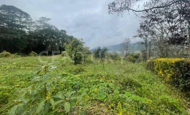 VENDO 4 LOTES SEGUIDOS DESDE 11.500m2 a 15.570m2 EN SUBIA SILVANIA,CUNDINAMARCA