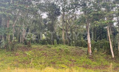 VENDO LOTE DE 11.500 y 12.500m2 SUBIA SILVANIA, IDEAL  CASA CAMPESTRE
