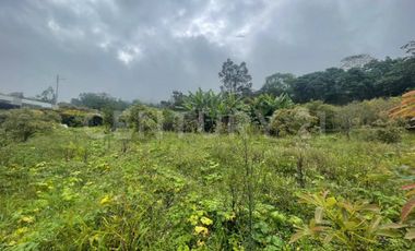 VENDO LOTE DE 11.500 y 12.500m2 SUBIA SILVANIA, IDEAL  CASA CAMPESTRE