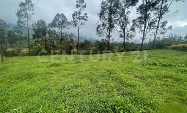 VENDO LOTE DE 11.500 y 12.500m2 SUBIA SILVANIA, IDEAL  CASA CAMPESTRE