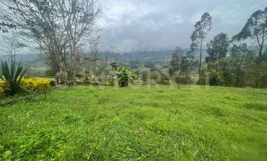 VENDO LOTE DE 11.500 y 12.500m2 SUBIA SILVANIA, IDEAL  CASA CAMPESTRE