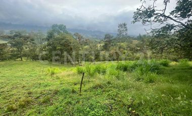 VENDO LOTE DE 11.500 y 12.500m2 SUBIA SILVANIA, IDEAL  CASA CAMPESTRE