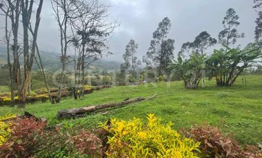 VENDO LOTE DE 11.500 y 12.500m2 SUBIA SILVANIA, IDEAL  CASA CAMPESTRE