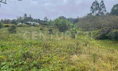 VENDO LOTE DE 11.500 y 12.500m2 SUBIA SILVANIA, IDEAL  CASA CAMPESTRE