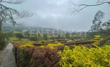 VENDO LOTE DE 11.500 y 12.500m2 SUBIA SILVANIA, IDEAL  CASA CAMPESTRE