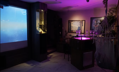 Loft en renta amueblado con cine en colonia la paz
