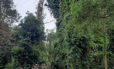 Terreno en  Bosque Peralta Ramos