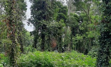 Terreno en  Bosque Peralta Ramos
