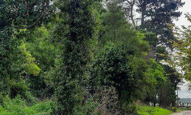 Terreno en  Bosque Peralta Ramos