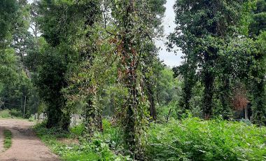 Terreno en  Bosque Peralta Ramos