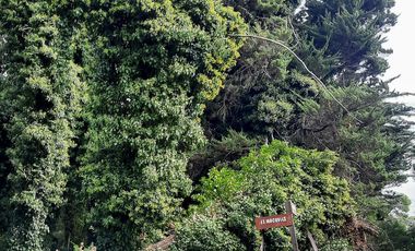 Terreno en  Bosque Peralta Ramos
