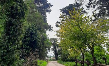 Terreno en  Bosque Peralta Ramos