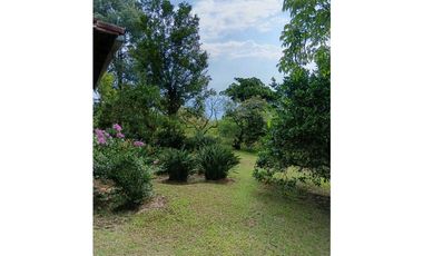 Venta finca en Fredonia suroeste antioqueño