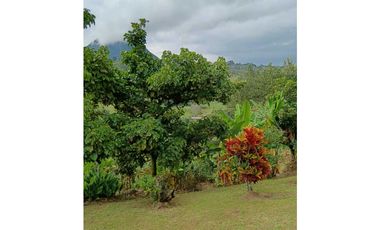 Venta finca en Fredonia suroeste antioqueño