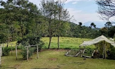 Venta finca en Fredonia suroeste antioqueño