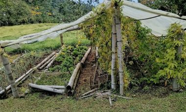Venta finca en Fredonia suroeste antioqueño