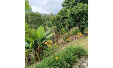 Venta finca en Fredonia suroeste antioqueño