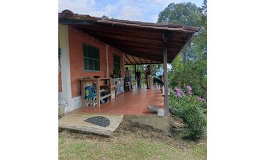 Venta finca en Fredonia suroeste antioqueño