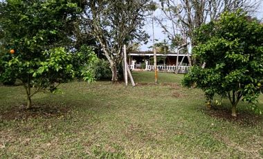 Venta finca en Fredonia suroeste antioqueño