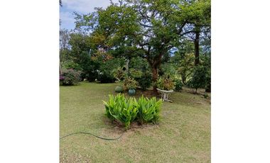 Venta finca en Fredonia suroeste antioqueño