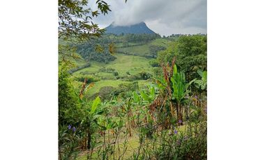 Venta finca en Fredonia suroeste antioqueño