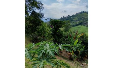 Venta finca en Fredonia suroeste antioqueño